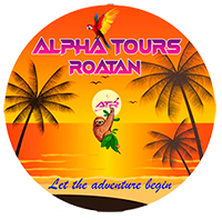 alpha test tours